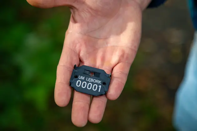Park Chrobrego pod lupą ekspertów. Kolejny krok w stronę rewitalizacji