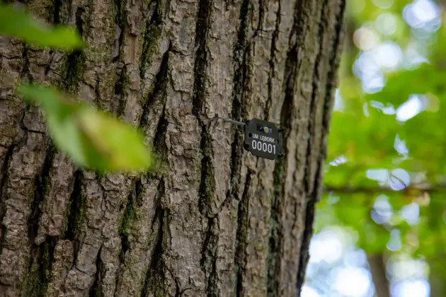 Park Chrobrego pod lupą ekspertów. Kolejny krok w stronę rewitalizacji