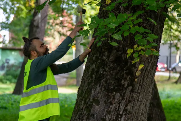 Park Chrobrego pod lupą ekspertów. Kolejny krok w stronę rewitalizacji