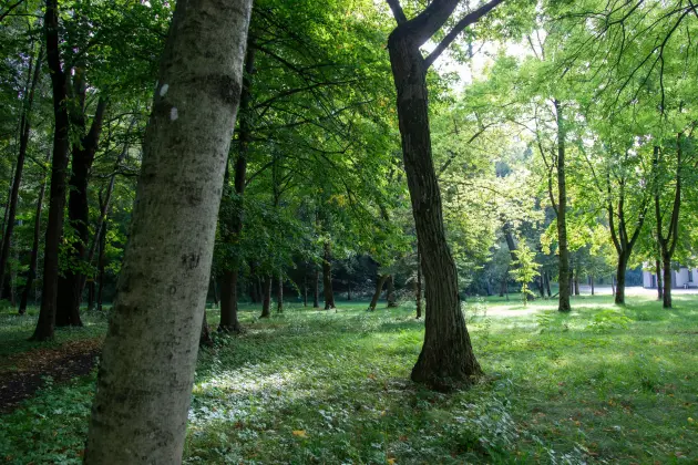 Park Chrobrego pod lupą ekspertów. Kolejny krok w stronę rewitalizacji
