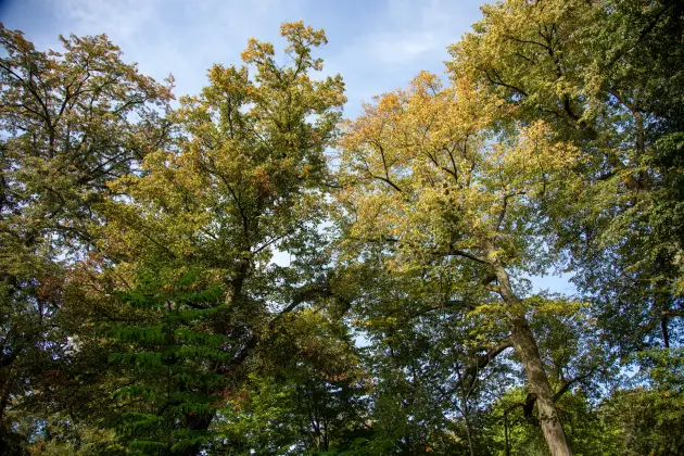 Park Chrobrego pod lupą ekspertów. Kolejny krok w stronę rewitalizacji