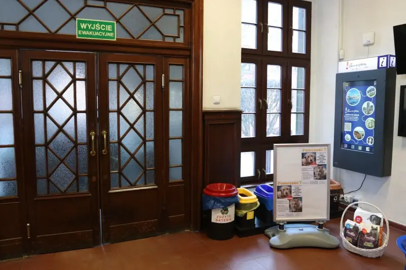 W ratuszu trwa zbiórka dla zwierząt