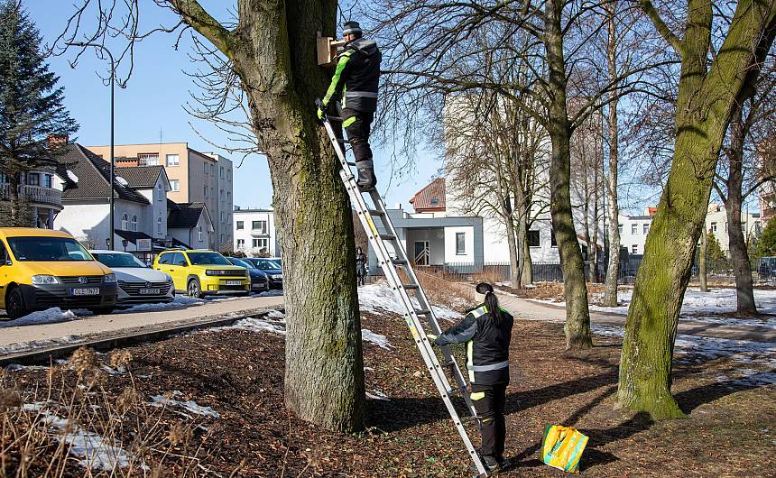 Czytaj o: Wiosna w mieście - Lębork przygotował 230 budek